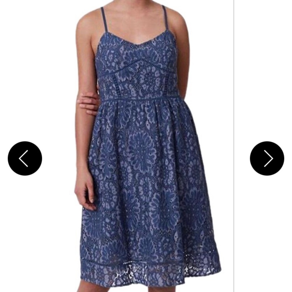 NWT Loft Lace Dress